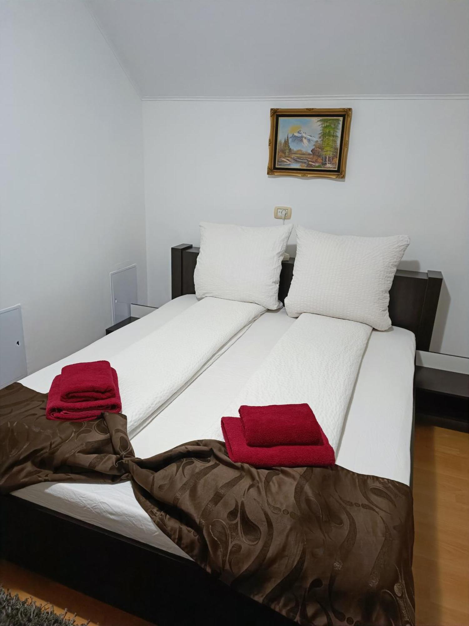 Family Pension Arad Exterior foto